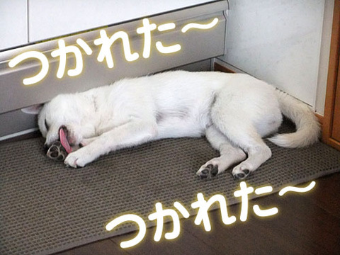 2010060604
