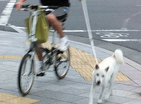 2010081905