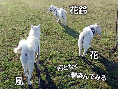 2011102908