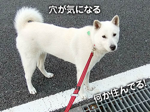 2010120603
