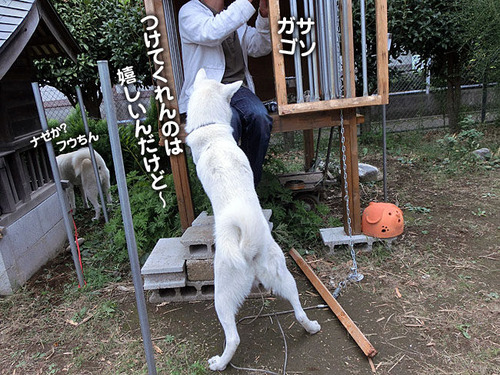 4d792742.jpg