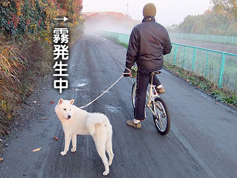 2010113001