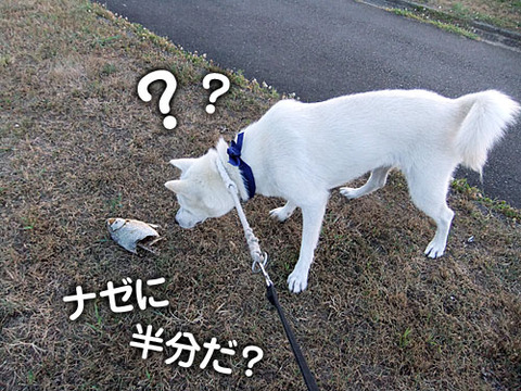 2011071409