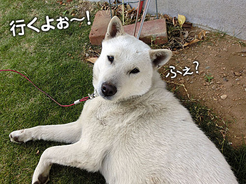 2013050902