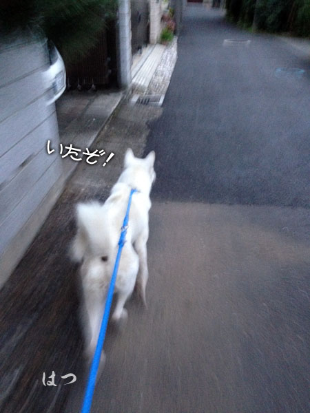 2013102406
