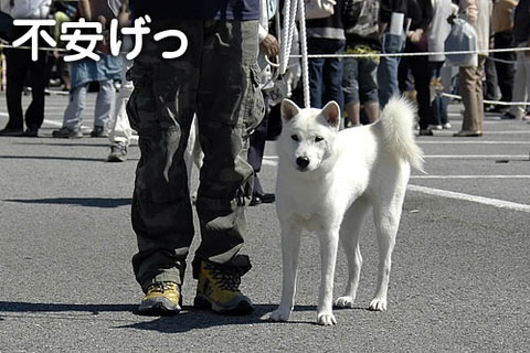 2010092704