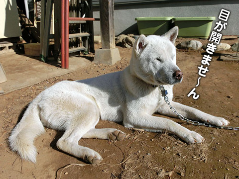 2012120905