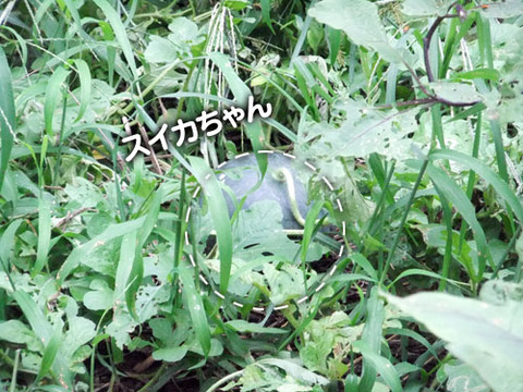 2011090502