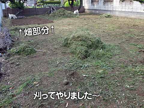 2013050403
