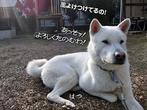 2013111402
