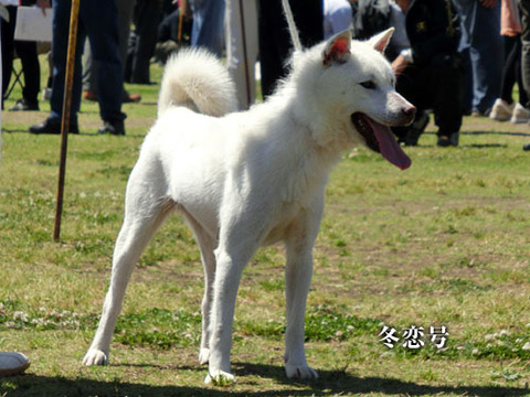 2013051408