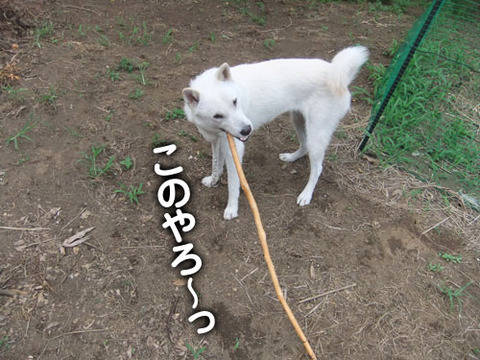 2011070202