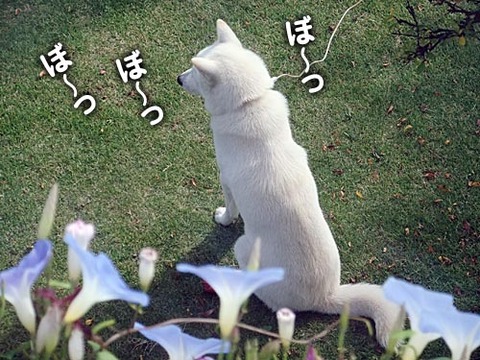 2011110902