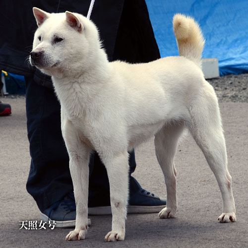 2019032814