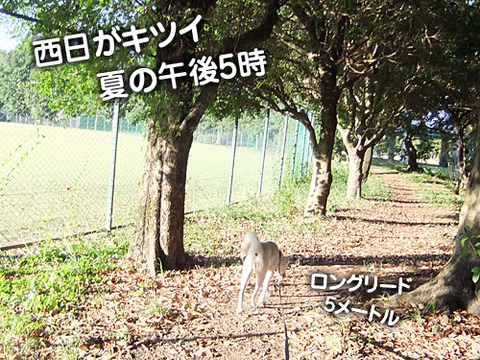 2011071402