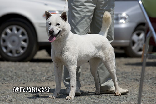 2014043018