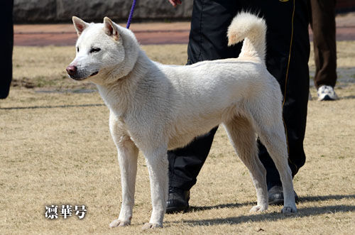 2014031813