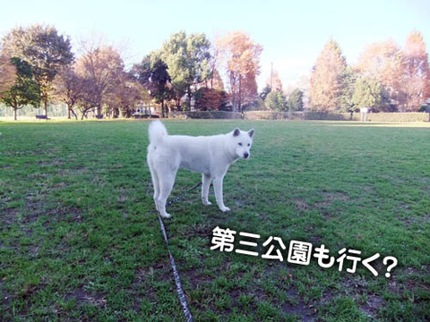 2010120403