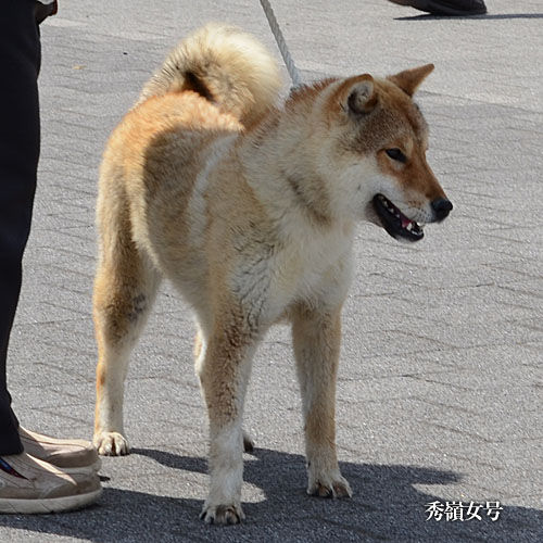 2018041005