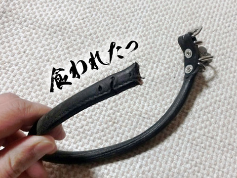 2013042704