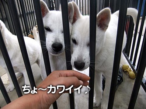 2011102408