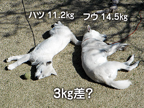 56c6b870.jpg
