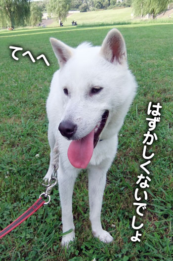 2011070801