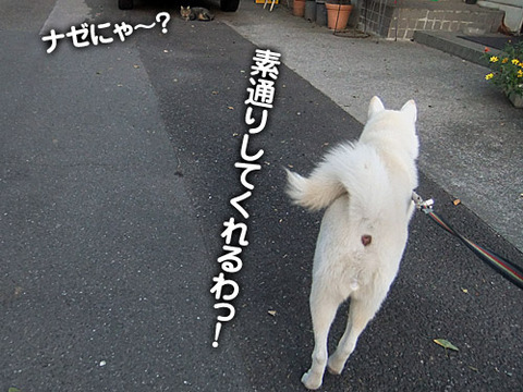 2011101803