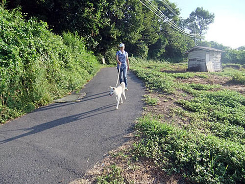 2010082902