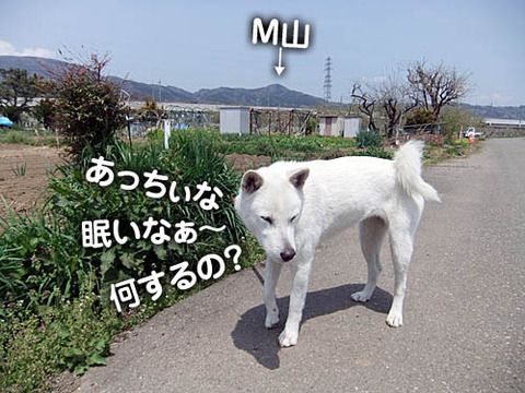 2011051001