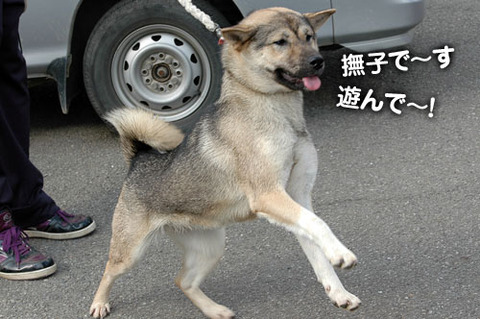2011100904