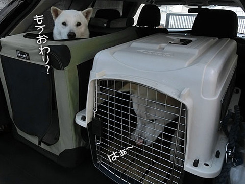 2013052911