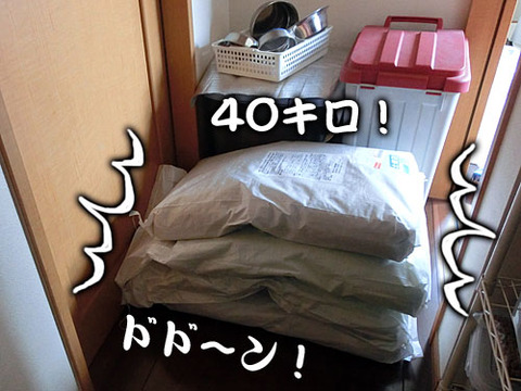 2013083106