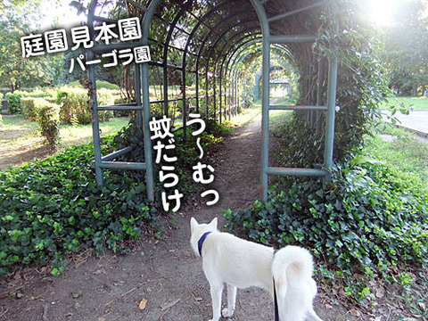2011071404