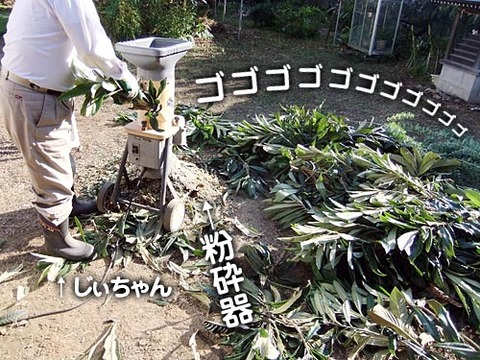 2011110101