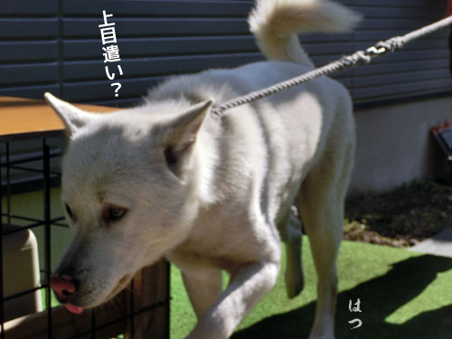 2014032404