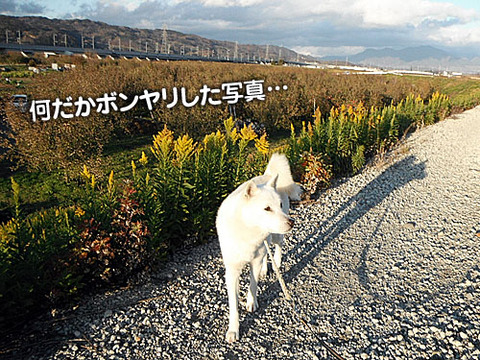 2011120903