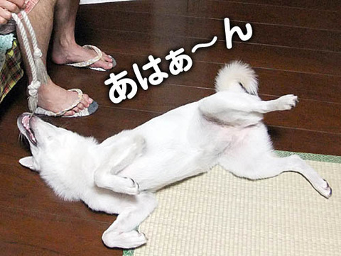2010091911