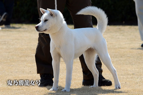 2014031807