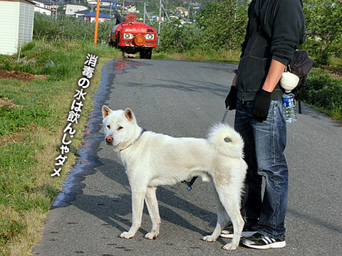 2013051601