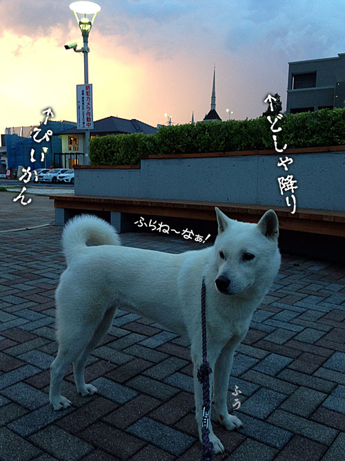 2015081101