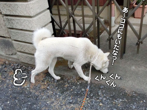 2012120709