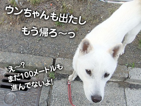 2011052001