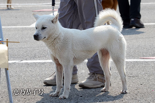 2014031206