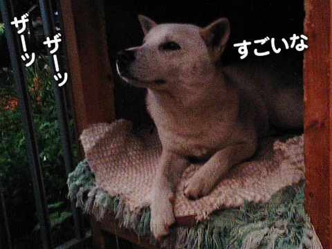 2011051309