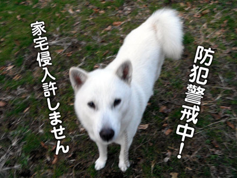 2011122301