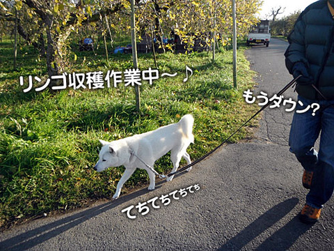 2011120807