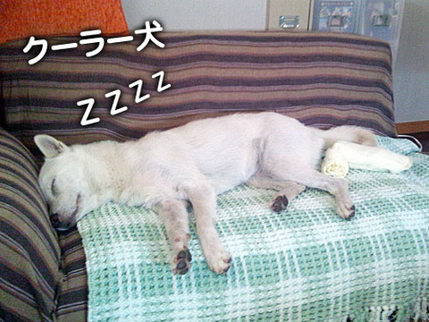2011071411