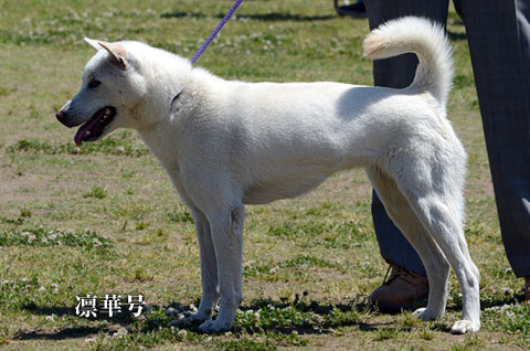2013051407