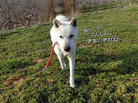 2013040103